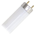17 Watt 2 ft. T8 Fluorescent Tube U593