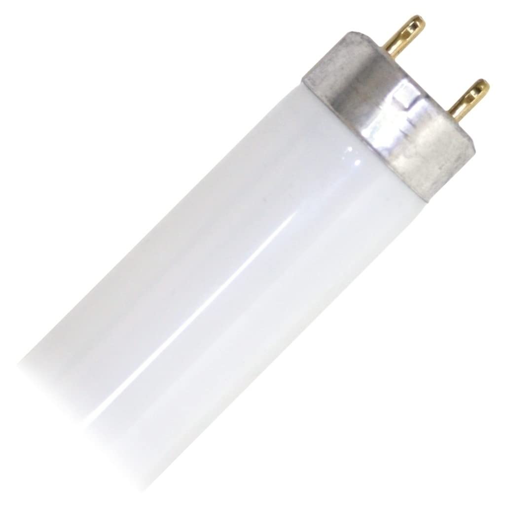 17 Watt 2 ft. T8 Fluorescent Tube U593