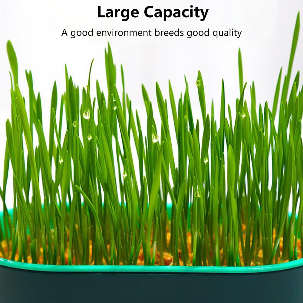 Cat Grass Growing Kit N75641