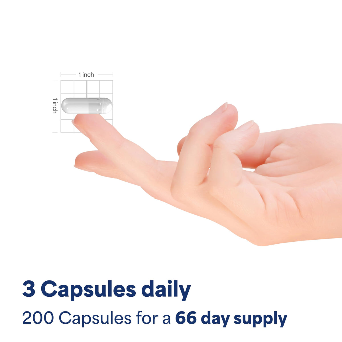 Cinnamon 500mg 200 Capsules W219107
