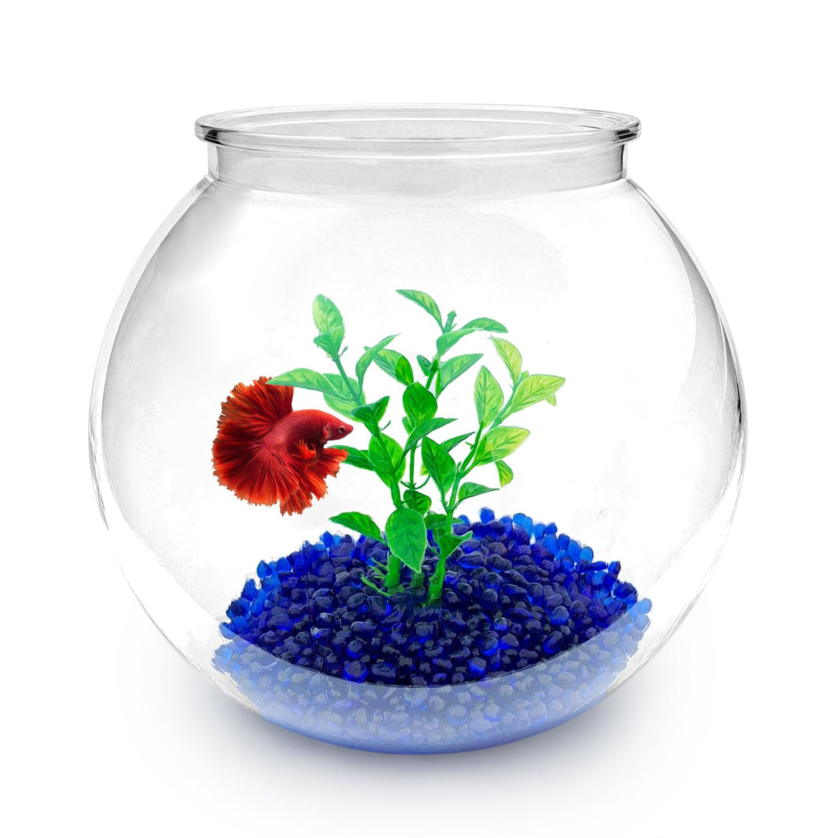 Mini Plastic Aquarium Starter Kit, 0.8 Gallon Fish Tank R481