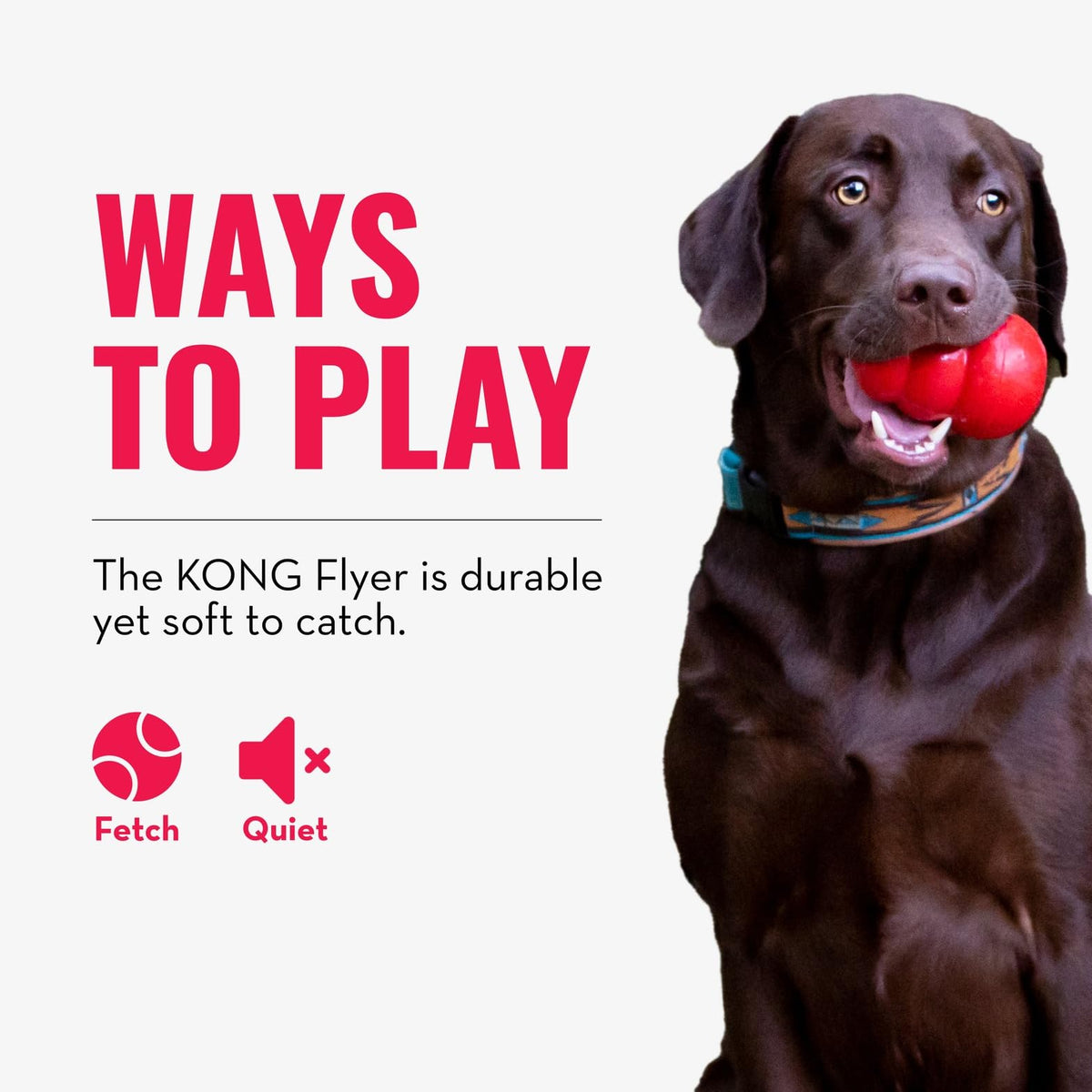 Natural Rubber Flying Disc Fetch Toy A2876
