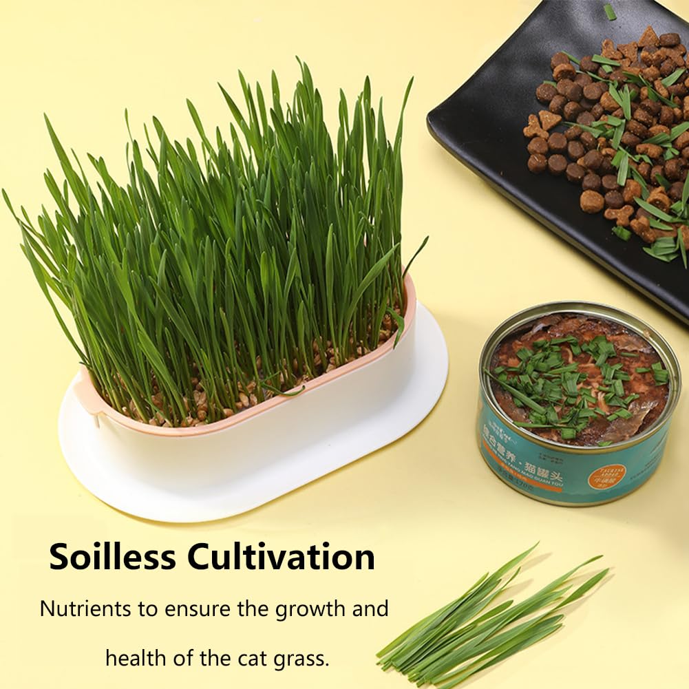 Cat Grass Growing Kit N75641
