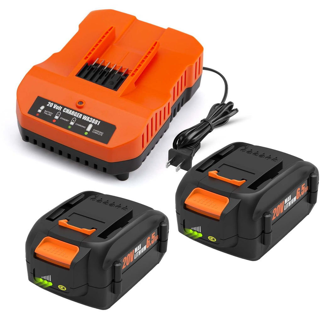 2 Pack 6.5Ah Replacement 20v Lithium Battery and Charger Kit T898126