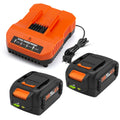 2 Pack 6.5Ah Replacement 20v Lithium Battery and Charger Kit T898126