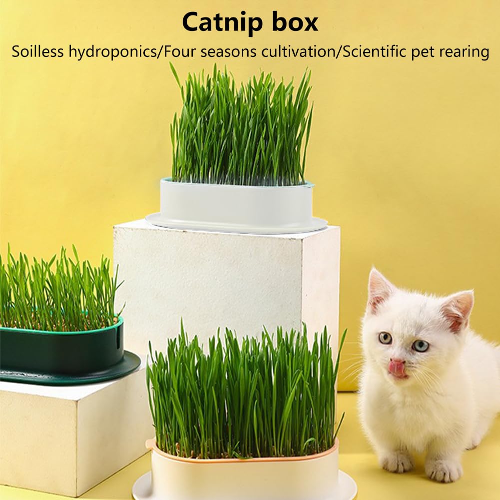Cat Grass Growing Kit N75641