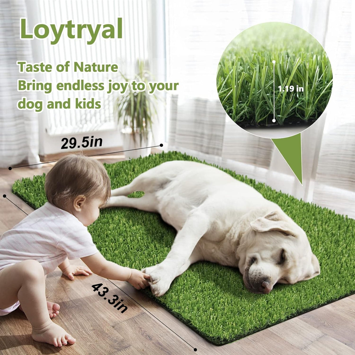 43.3 x 29.5 Inches Washable Artificial Grass Rug J402801