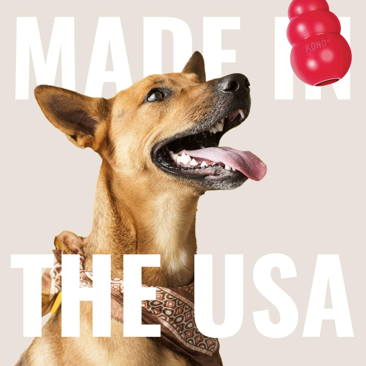Natural Rubber Flying Disc Fetch Toy A2876