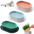 Cat Grass Growing Kit N75641