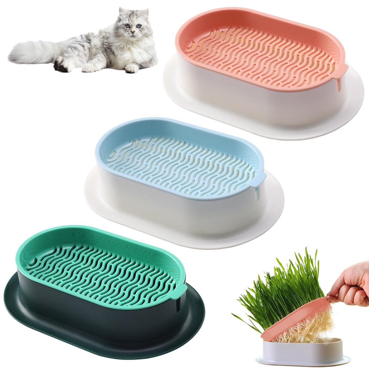 Cat Grass Growing Kit N75641
