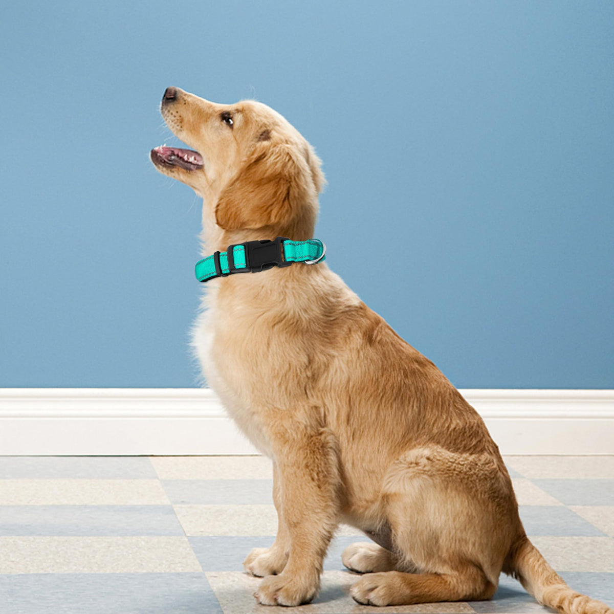 Reflective Adjustable Soft Neoprene Padded Dog Collar P63794