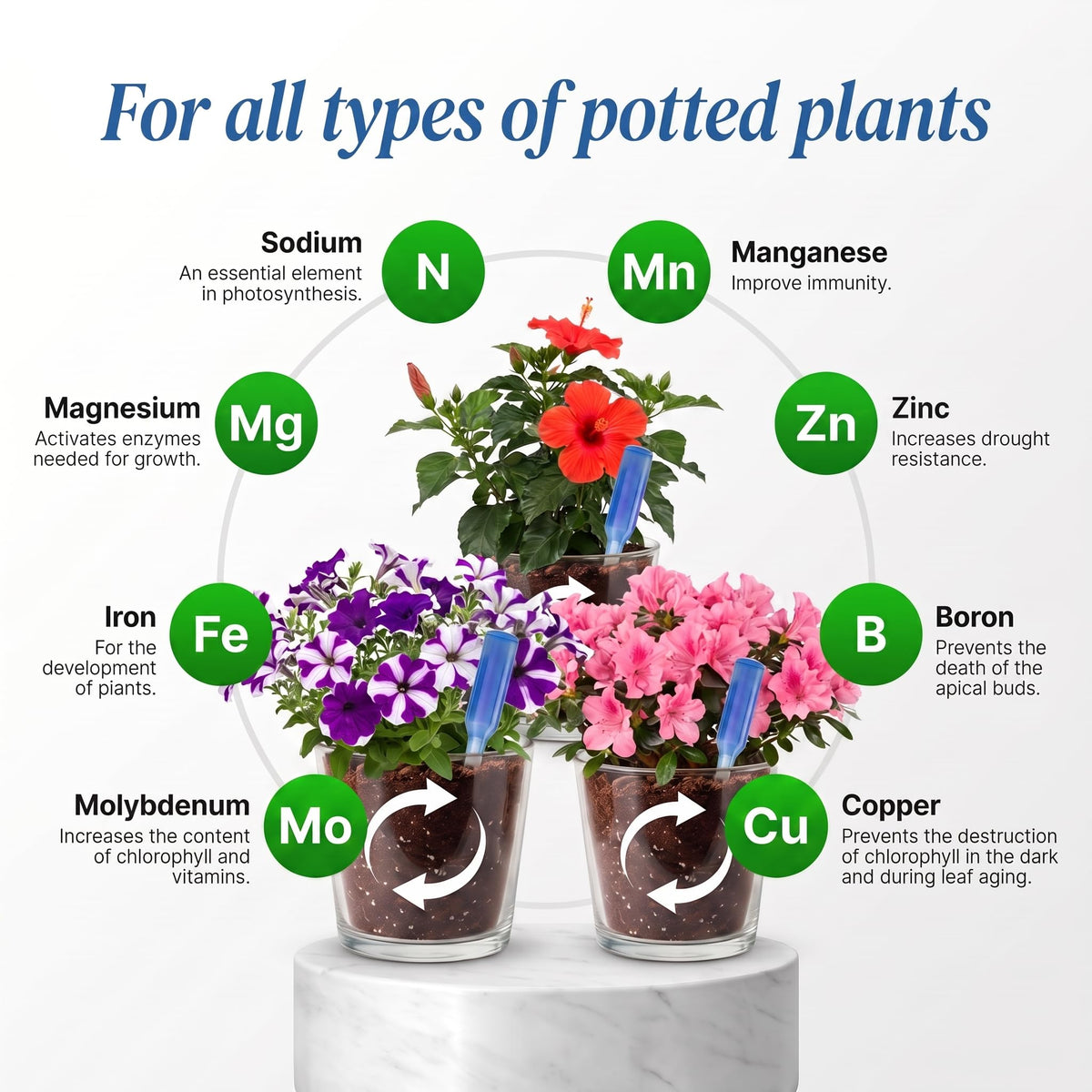 Liquid Plant Food Fertilizer 6-Pack Concentrated Nutrient Solution N4668