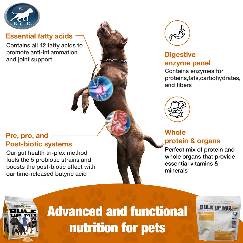 Big Dog Supplement E280