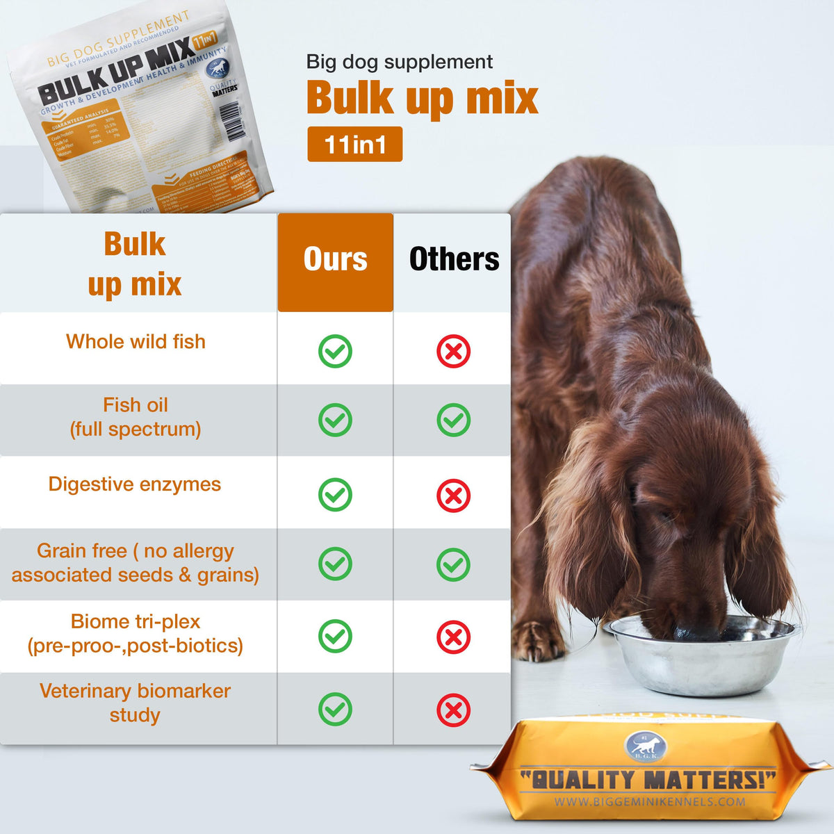 Big Dog Supplement E280