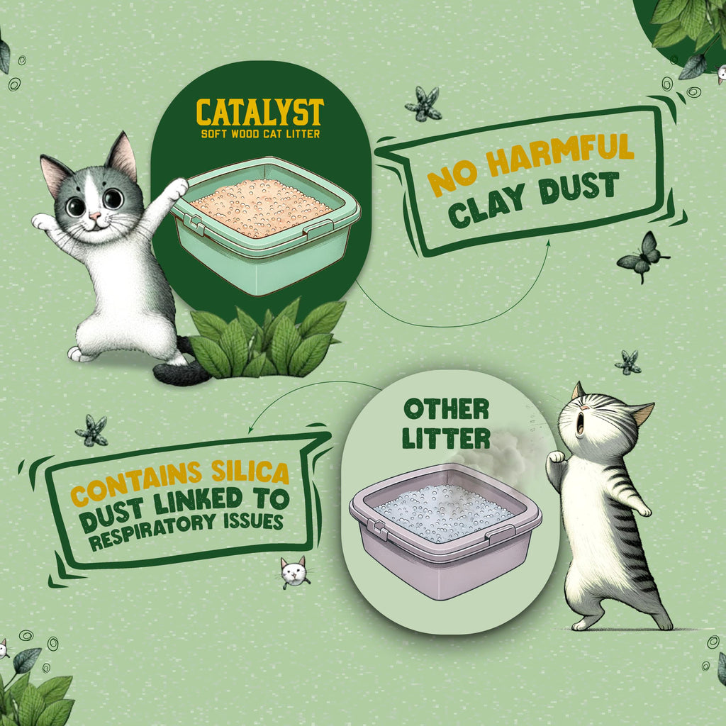 Natural Soft Wood Cat Litter Set of 2 H3207