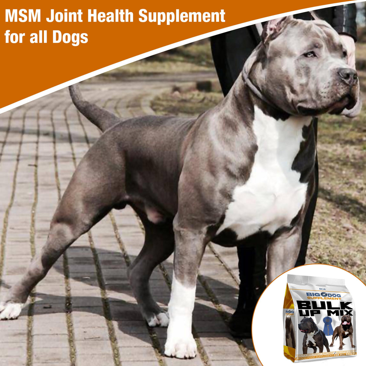 Big Dog Supplement E280