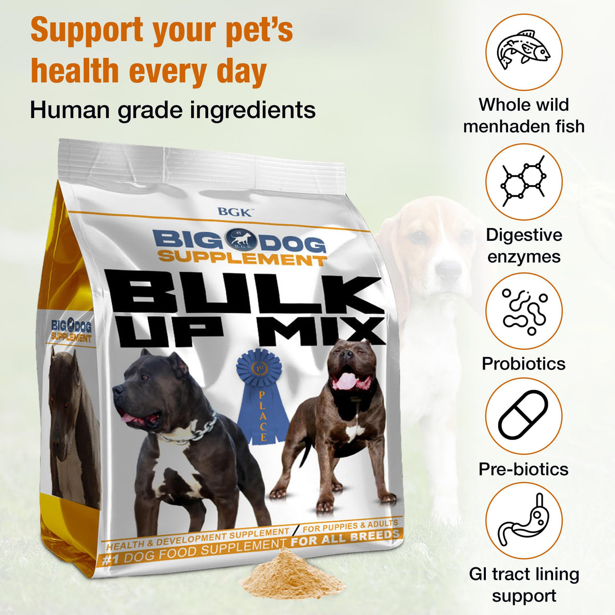 Big Dog Supplement E280