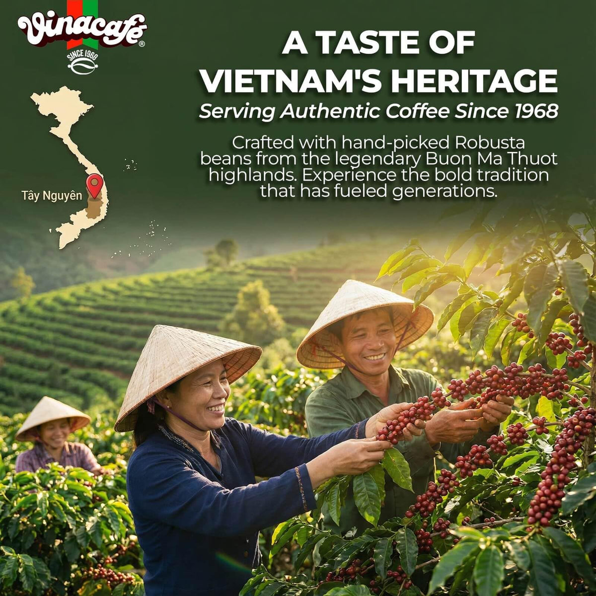 Instant Coffee Mix 3 in 1 X10968