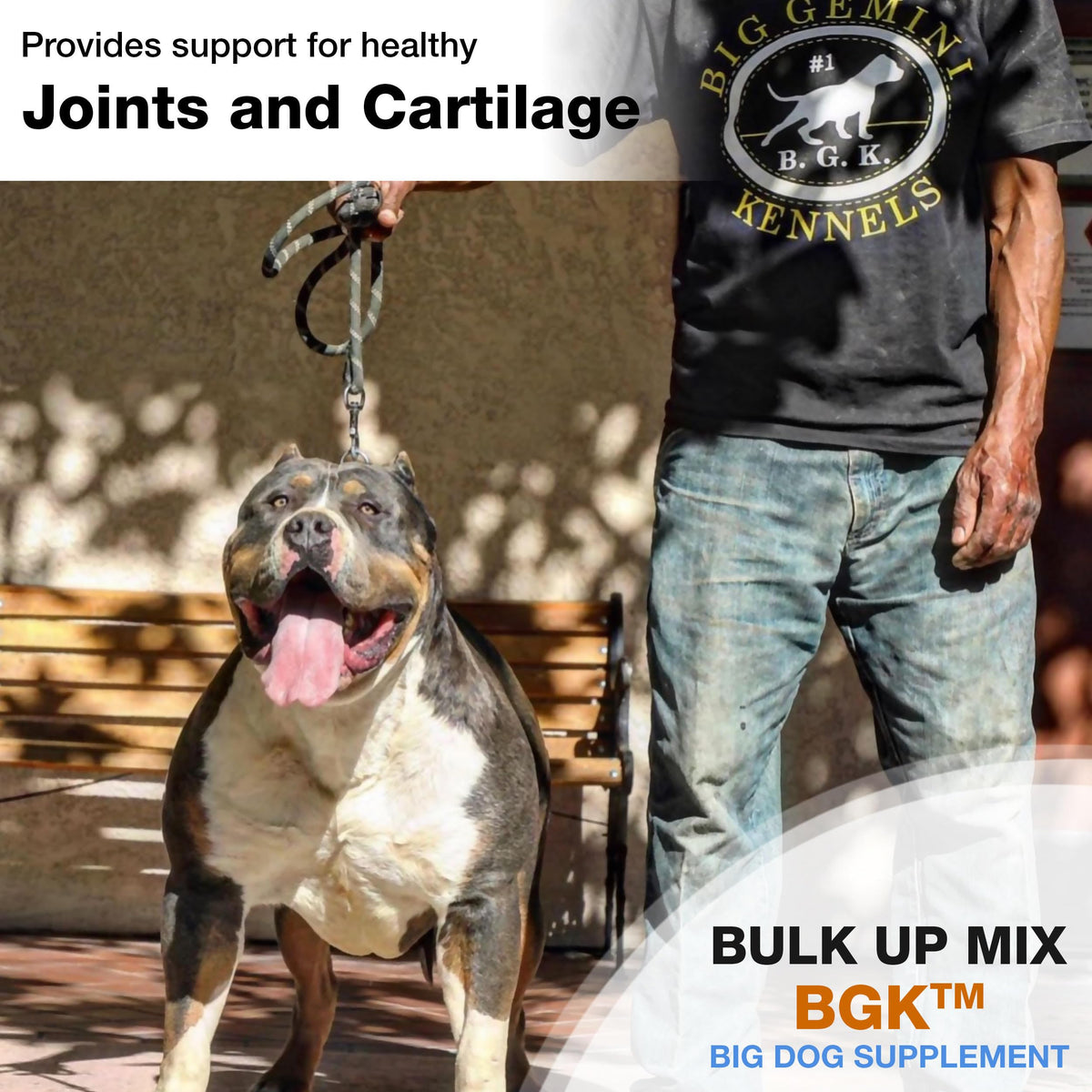 Big Dog Supplement E280
