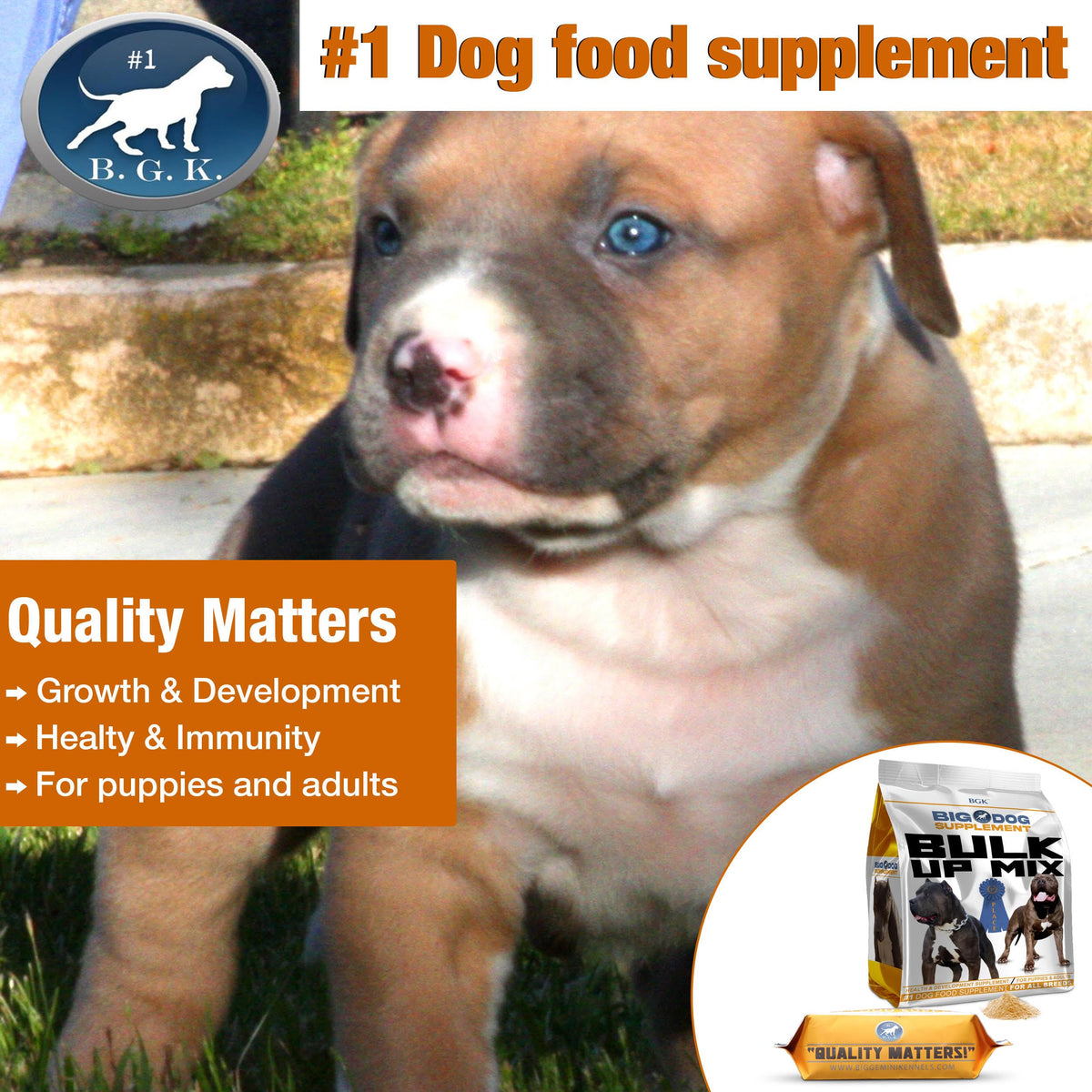 Big Dog Supplement E280