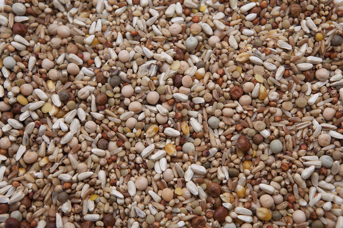 Pigeon Mix T75273